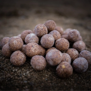 Hotové boilies Kobyla